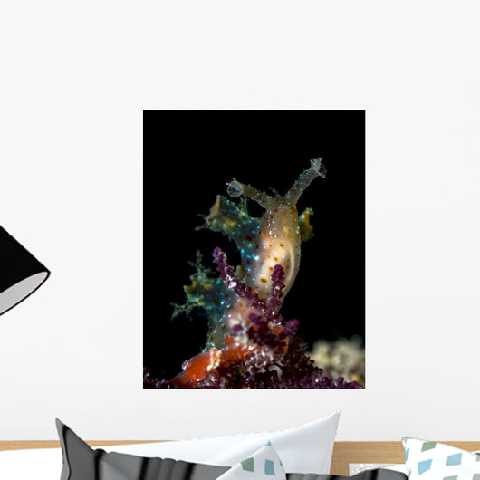 Lined Sea Hare Milne Wall Decal