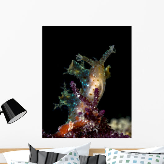 Lined Sea Hare Milne Wall Decal