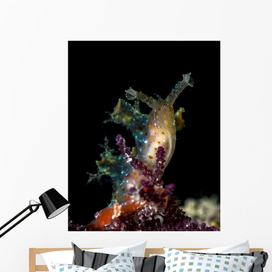 Lined Sea Hare Milne Wall Decal