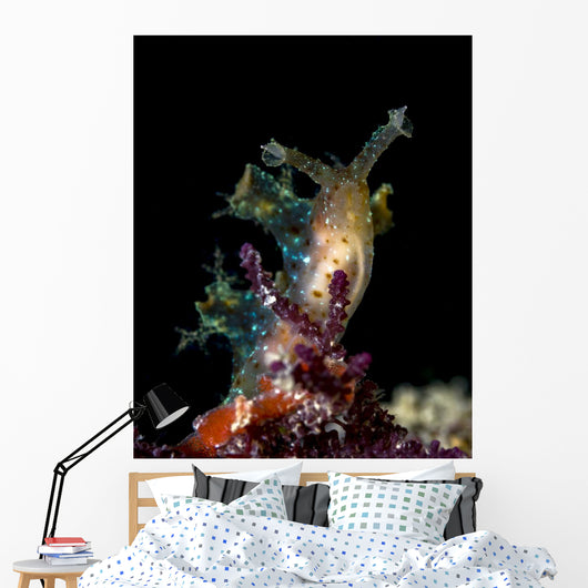 Lined Sea Hare Milne Wall Decal