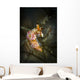 Unknown Nudibranch Milne Bay Wall Decal