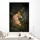 Unknown Nudibranch Milne Bay Wall Decal