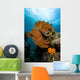 Reef Scene with Sea Close-up Wall Decal