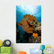 Reef Scene with Sea Close-up Wall Decal