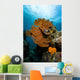 Reef Scene with Sea Close-up Wall Decal