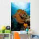 Reef Scene with Sea Close-up Wall Decal