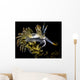 Orange-tipped Flabellina Nudibranch Milne Wall Decal