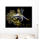 Orange-tipped Flabellina Nudibranch Milne Wall Decal
