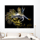 Orange-tipped Flabellina Nudibranch Milne Wall Decal