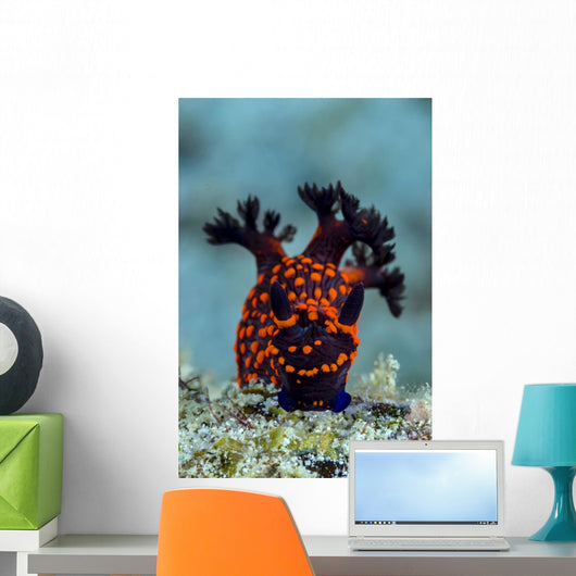 Nembrotha Nudibranch Milne Bay Vertical Wall Decal