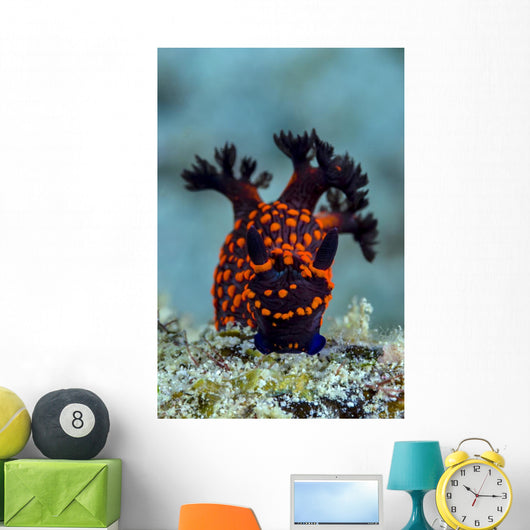 Nembrotha Nudibranch Milne Bay Vertical Wall Decal