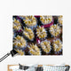 Unknown Pipefish Milne Bay Wall Decal