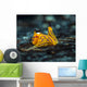 Tiny Siphopteron Tigrinum Headshield Wall Decal