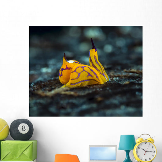 Tiny Siphopteron Tigrinum Headshield Wall Decal