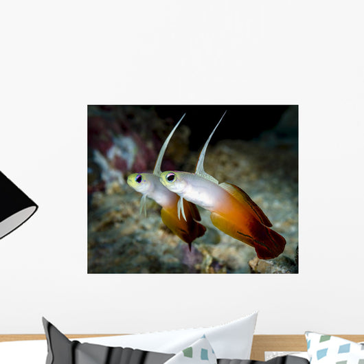 Pair Fire Dartfish Milne Wall Decal