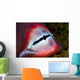 Close-up Parrotfish Teeth Milne Wall Decal