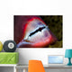 Close-up Parrotfish Teeth Milne Wall Decal
