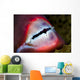 Close-up Parrotfish Teeth Milne Wall Decal