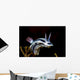 Loch's Chromodoris Nudibranch Milne Wall Decal