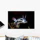 Loch's Chromodoris Nudibranch Milne Wall Decal