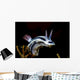 Loch's Chromodoris Nudibranch Milne Wall Decal