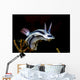 Loch's Chromodoris Nudibranch Milne Wall Decal