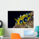 Ocellated Phyllidia Nudibranch Milne Wall Decal