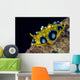 Ocellated Phyllidia Nudibranch Milne Wall Decal