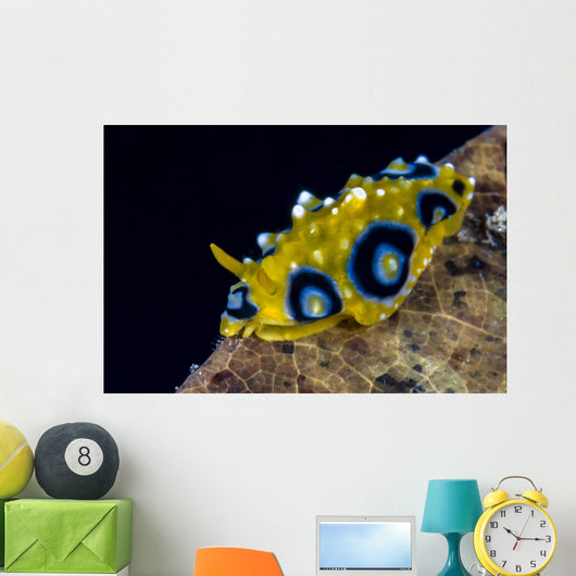 Ocellated Phyllidia Nudibranch Milne Wall Decal