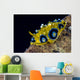 Ocellated Phyllidia Nudibranch Milne Wall Decal