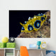 Ocellated Phyllidia Nudibranch Milne Wall Decal