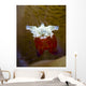 Mushroom Coral Shrimp Milne Wall Decal