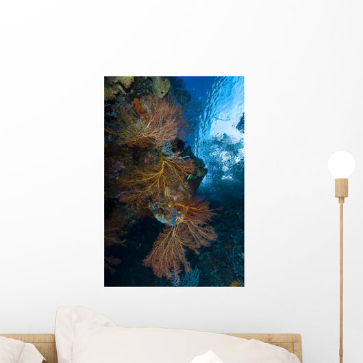 Reef Scene with Sea Wall Decal