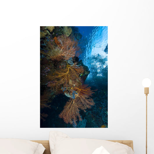 Reef Scene with Sea Wall Decal