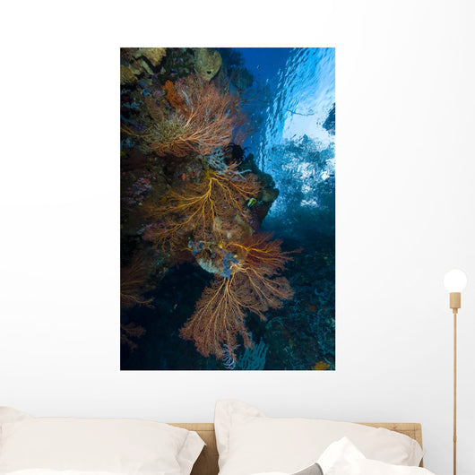 Reef Scene with Sea Wall Decal