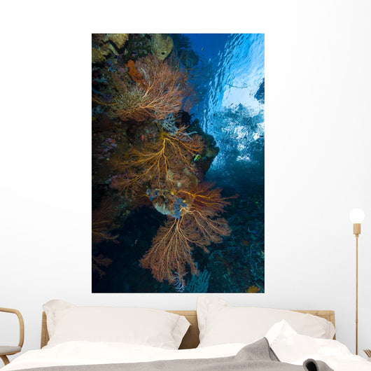 Reef Scene with Sea Wall Decal