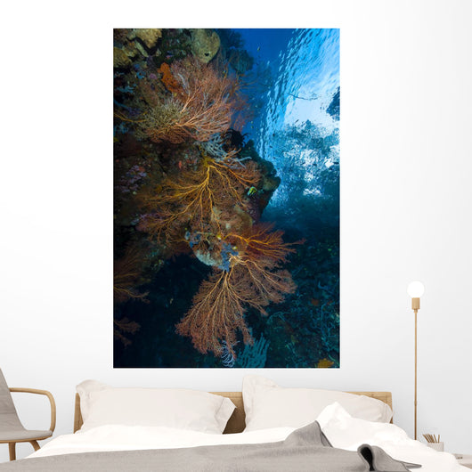 Reef Scene with Sea Wall Decal
