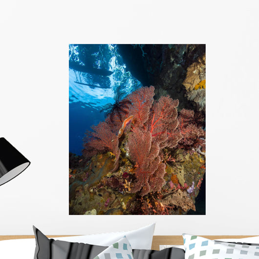 Reef Scene with Sea and Boat Wall Decal