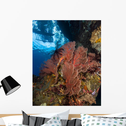 Reef Scene with Sea and Boat Wall Decal