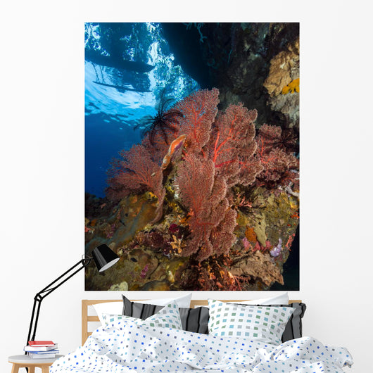 Reef Scene with Sea and Boat Wall Decal
