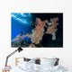 Large Sea Fan Milne Wall Decal