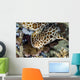 Walking Bamboo Shark Milne Wall Decal