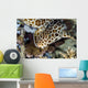 Walking Bamboo Shark Milne Wall Decal