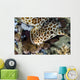 Walking Bamboo Shark Milne Wall Decal