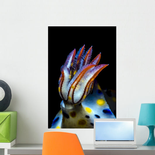 Gills Colorful Hypselodoris Nudibranch Wall Decal