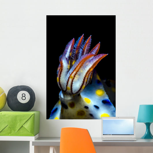 Gills Colorful Hypselodoris Nudibranch Wall Decal