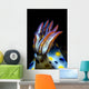 Gills Colorful Hypselodoris Nudibranch Wall Decal