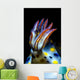 Gills Colorful Hypselodoris Nudibranch Wall Decal