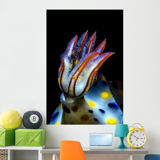 Gills Colorful Hypselodoris Nudibranch Wall Decal