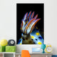 Gills Colorful Hypselodoris Nudibranch Wall Decal